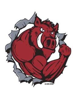 Arkansas Razorbacks