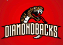 Beaver Dam Diamondbacks