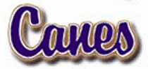 Cartersville Purple Hurricanes