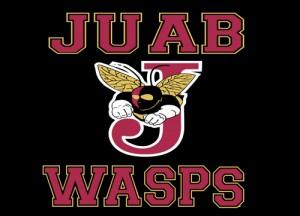 Juab Wasps