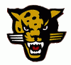 Andover Central Jaguars