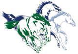 Damonte Ranch Mustangs