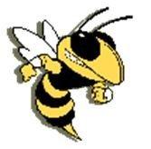 Andrews Yellowjackets