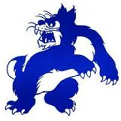 Wheeling Wildcats