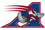 Montreal Alouettes