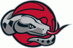 Rio Grande Valley Vipers