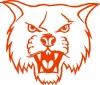 Bath County Wildcats