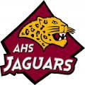 Appoquinimink Jaguars