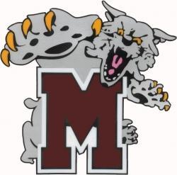 Mechanicsburg Wildcats