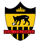 Real Colorado Foxes