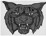 Baptist Hill Bobcats