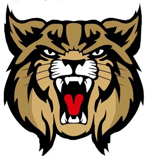 Brookings Bobcats