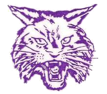 Haywood Tomcats