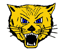 Lake Mills L-Cats