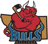 Billings Bulls