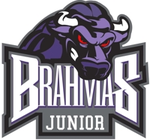 Texas Junior Brahmas