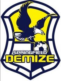 Springfield Demize