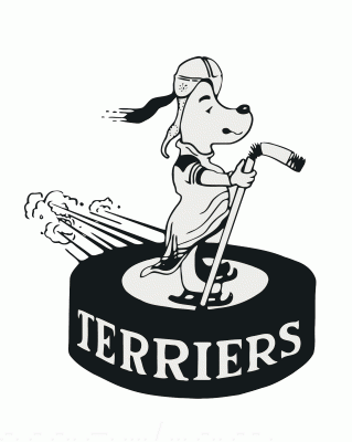 Orillia Terriers