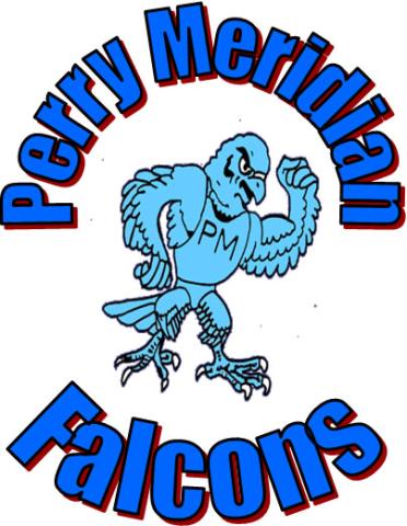 Meridian Falcons