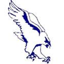 Farmington Falcons