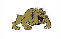 New Haven Bulldogs