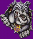 Ascension Catholic Bulldogs