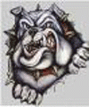 Carlton Bulldogs