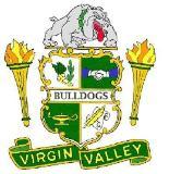 Virgin Valley Bulldogs