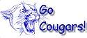 Jenkins Cougars