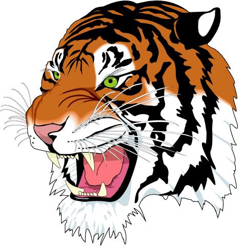 Hurley Tigers