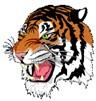 Mobridge Tigers