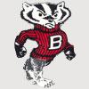 Badger Badgers