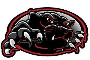 Coconino Panthers