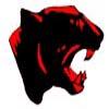 Pomperaug Panthers