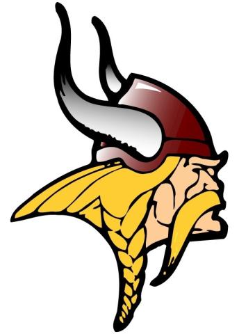 Valley Vikings