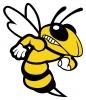 Woodford County Yellowjackets