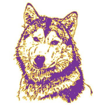 Wahpeton Huskies