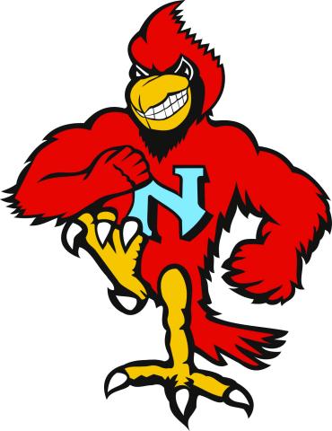 Newman Catholic Fighting Cardinals