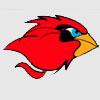 Newman Catholic Fighting Cardinals