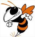 Beech Grove Hornets