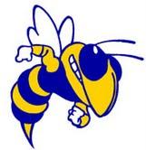 Kearsley Hornets