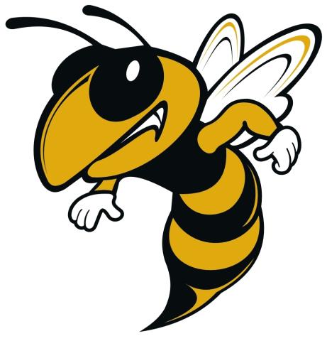 White River Hornets