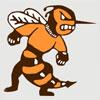 Richland Center Hornets