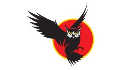 Foothill College Owls