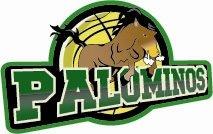 Palo Alto College Palominos