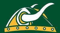 Mesabi Range College Norse