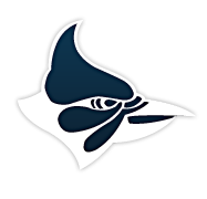 Elmhurst College Bluejays