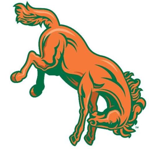 University of Texas-Pan American Broncs