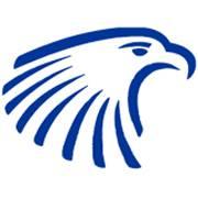 Embry-Riddle Aeronautical University Eagles