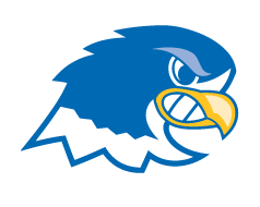 Notre Dame College Falcons